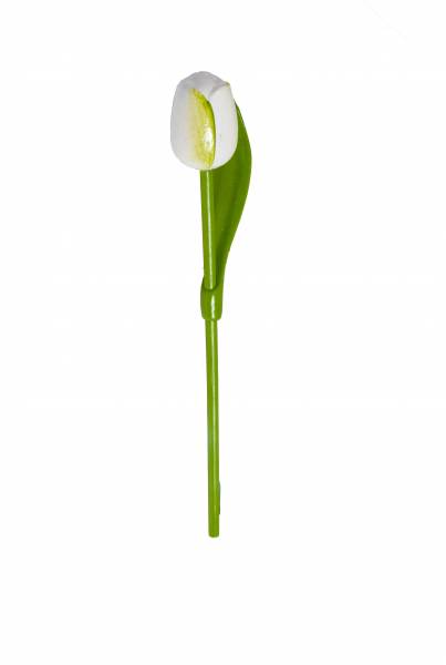 Holz Tulpe weiß - grün